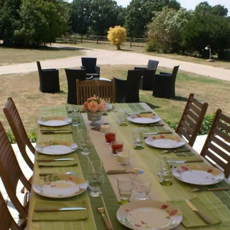 Charmante Maison Du Xve Avec Piscine, Jardin Et Terrasse En Lisiere De La Foret De Troncais - Fr-1-489-217 Holiday home Le Brethon