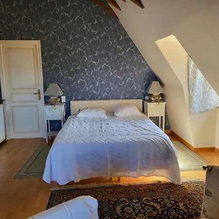 Charmante Maison Du Xve Avec Piscine, Jardin Et Terrasse En Lisiere De La Foret De Troncais - Fr-1-489-217 *