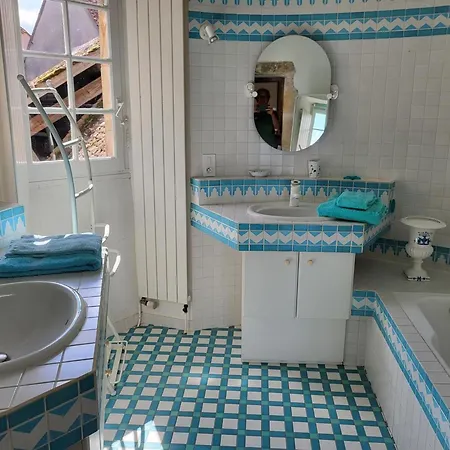 Charmante Maison Du Xve Avec Piscine, Jardin Et Terrasse En Lisiere De La Foret De Troncais - Fr-1-489-217 *